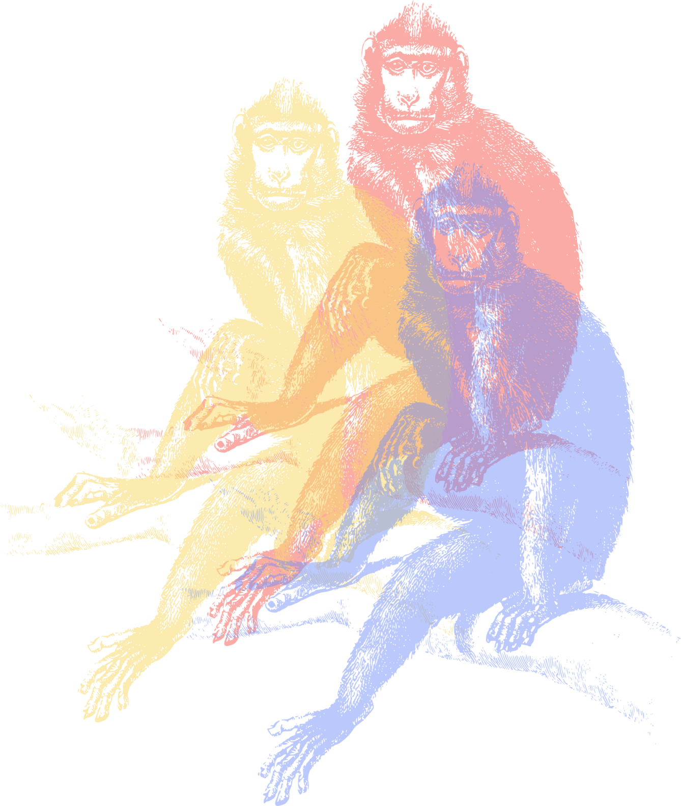 Illustration de trois singes : un singe rouge, un singe jaune et un singe bleu.